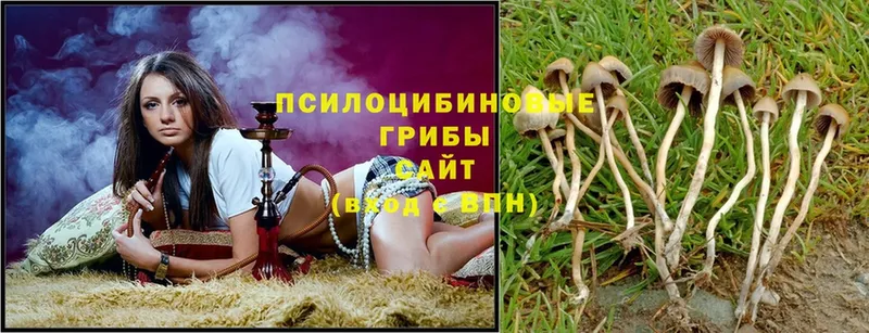 Галлюциногенные грибы MAGIC MUSHROOMS  Бородино 